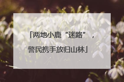 两地小鹿“迷路”，警民携手放归山林