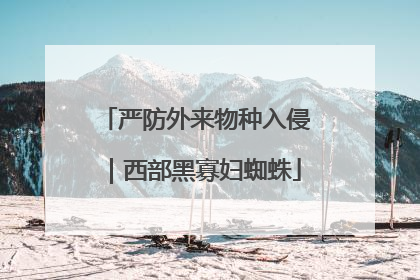 严防外来物种入侵｜西部黑寡妇蜘蛛