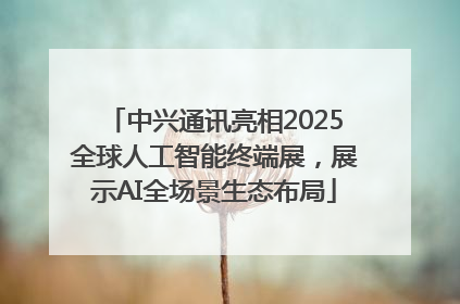 中兴通讯亮相2025全球人工智能终端展，展示AI全场景生态布局