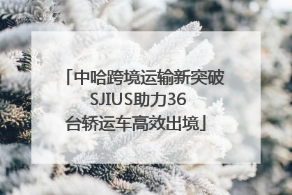 中哈跨境运输新突破 SJIUS助力36台轿运车高效出境