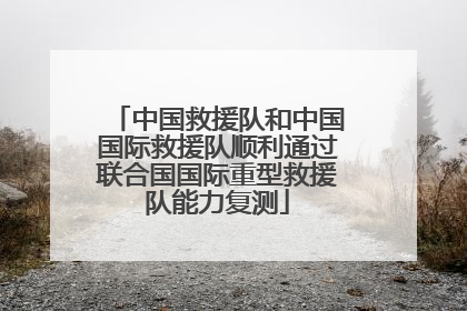 中国救援队和中国国际救援队顺利通过联合国国际重型救援队能力复测