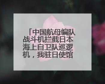 中国航母编队战斗机拦截日本海上自卫队巡逻机，我驻日使馆回应