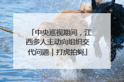 中央巡视期间，江西多人主动向组织交代问题｜打虎拍蝇