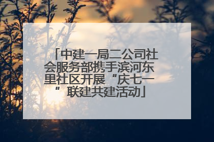 中建一局二公司社会服务部携手滨河东里社区开展“庆七一”联建共建活动