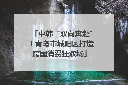 中韩“双向奔赴”！青岛市城阳区打造跨国消费狂欢场