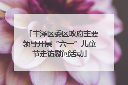 丰泽区委区政府主要领导开展“六一”儿童节走访慰问活动