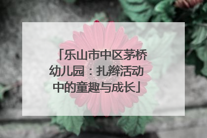 乐山市中区茅桥幼儿园：扎辫活动中的童趣与成长