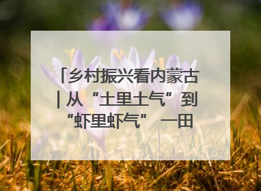 乡村振兴看内蒙古｜从“土里土气”到“虾里虾气” 一田双收模式火出圈