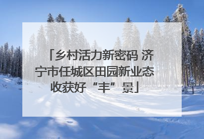 乡村活力新密码 济宁市任城区田园新业态收获好“丰”景