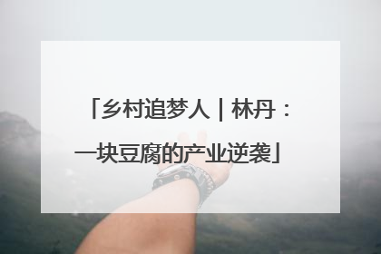 乡村追梦人｜林丹：一块豆腐的产业逆袭