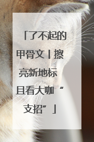 了不起的甲骨文丨擦亮新地标 且看大咖“支招”