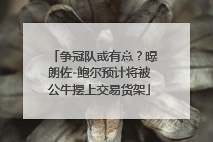 争冠队或有意？曝朗佐-鲍尔预计将被公牛摆上交易货架