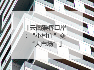 云南猴桥口岸：“小村庄”变“大市场”