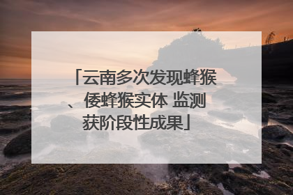 云南多次发现蜂猴、倭蜂猴实体 监测获阶段性成果