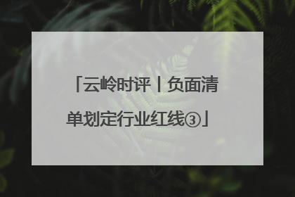 云岭时评丨负面清单划定行业红线③
