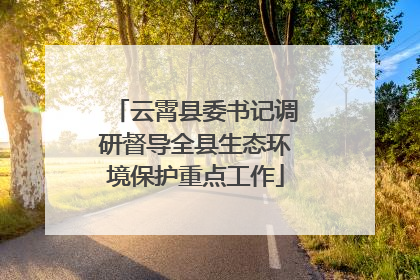 云霄县委书记调研督导全县生态环境保护重点工作