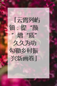云霄列屿镇：提“颜”增“质” 久久为功勾勒乡村振兴新画卷