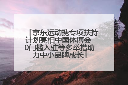 京东运动携专项扶持计划亮相中国体博会 0门槛入驻等多举措助力中小品牌成长
