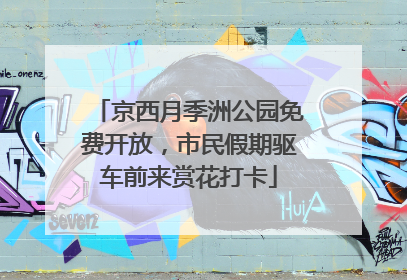 京西月季洲公园免费开放，市民假期驱车前来赏花打卡