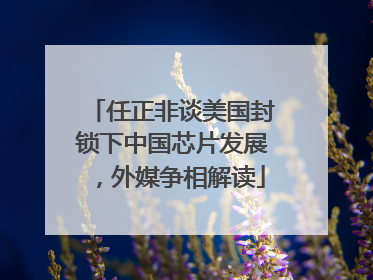 任正非谈美国封锁下中国芯片发展，外媒争相解读