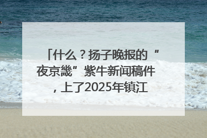 什么？扬子晚报的“夜京畿”紫牛新闻稿件，上了2025年镇江中考模拟卷！