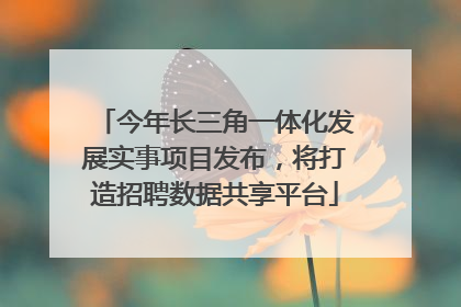 今年长三角一体化发展实事项目发布，将打造招聘数据共享平台