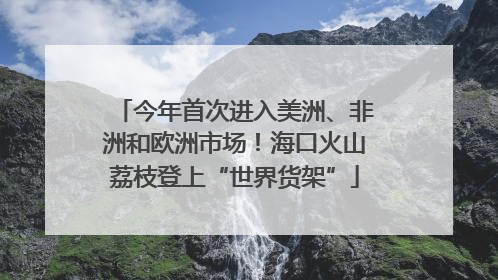 今年首次进入美洲、非洲和欧洲市场！海口火山荔枝登上“世界货架”