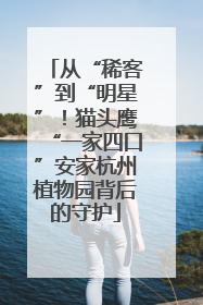 从“稀客”到“明星”！猫头鹰“一家四口”安家杭州植物园背后的守护
