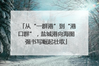 从“一群港”到“港口群”，盐城港向海图强书写崛起壮歌