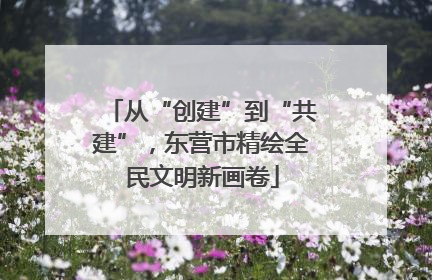 从“创建”到“共建”，东营市精绘全民文明新画卷