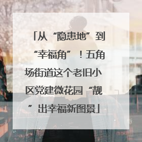 从“隐患地”到“幸福角”！五角场街道这个老旧小区党建微花园“靓”出幸福新图景
