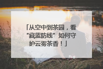 从空中到茶园，看“藏蓝防线”如何守护云雾茶香！