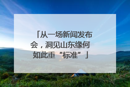 从一场新闻发布会，洞见山东缘何如此重“标准”