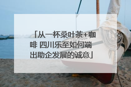 从一杯桑叶茶+咖啡 四川乐至如何端出助企发展的诚意