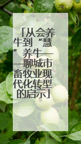 从会养牛到“慧”养牛——聊城市畜牧业现代化转型的启示