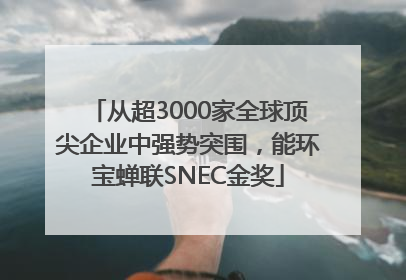 从超3000家全球顶尖企业中强势突围，能环宝蝉联SNEC金奖