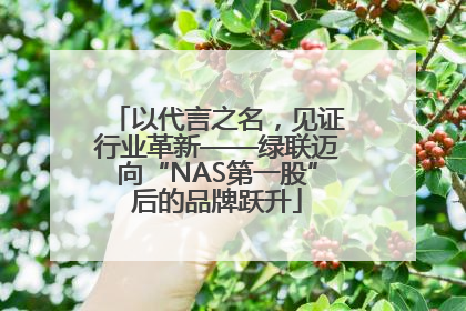 以代言之名，见证行业革新——绿联迈向“NAS第一股”后的品牌跃升