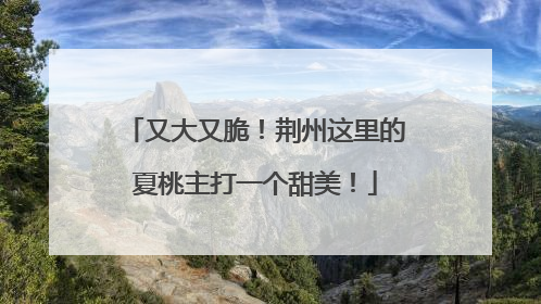 又大又脆！荆州这里的夏桃主打一个甜美！