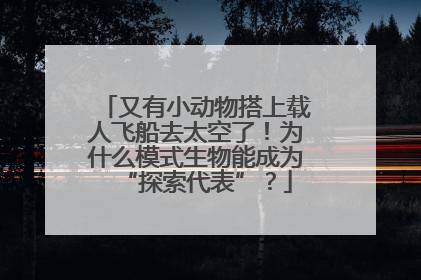 又有小动物搭上载人飞船去太空了！为什么模式生物能成为“探索代表”？