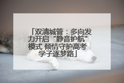 双清城管：多向发力开启“静音护航”模式 倾情守护高考学子逐梦路