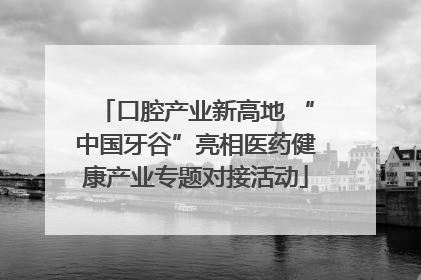 口腔产业新高地 “中国牙谷”亮相医药健康产业专题对接活动