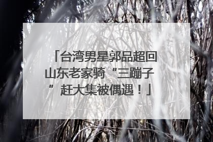 台湾男星郭品超回山东老家骑“三蹦子”赶大集被偶遇！