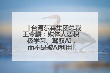 台湾东森集团总裁王令麟：媒体人要积极学习、驾驭AI，而不是被AI利用