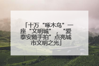 十万“啄木鸟”一座“文明城”，“爱泰安随手拍”点亮城市文明之光