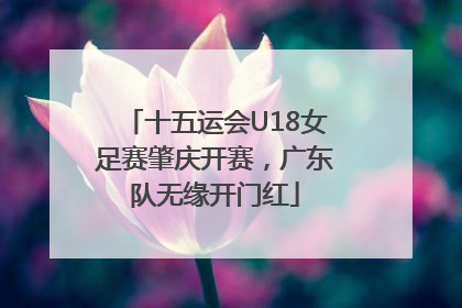 十五运会U18女足赛肇庆开赛，广东队无缘开门红