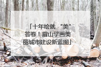 十年绘就 “美” 答卷！眉山擘画美丽城市建设新蓝图