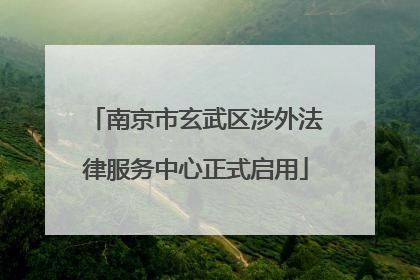 南京市玄武区涉外法律服务中心正式启用
