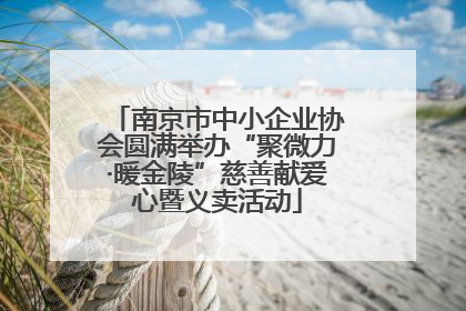 南京市中小企业协会圆满举办“聚微力·暖金陵”慈善献爱心暨义卖活动