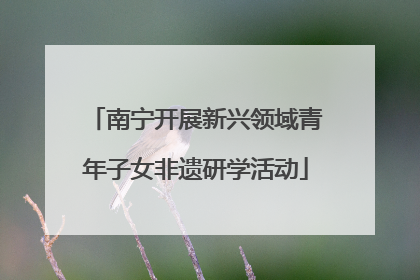 南宁开展新兴领域青年子女非遗研学活动