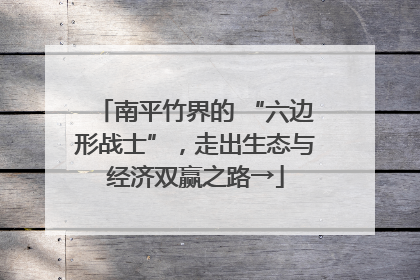 南平竹界的 “六边形战士”，走出生态与经济双赢之路→